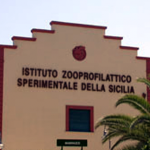 Izs Sicilia